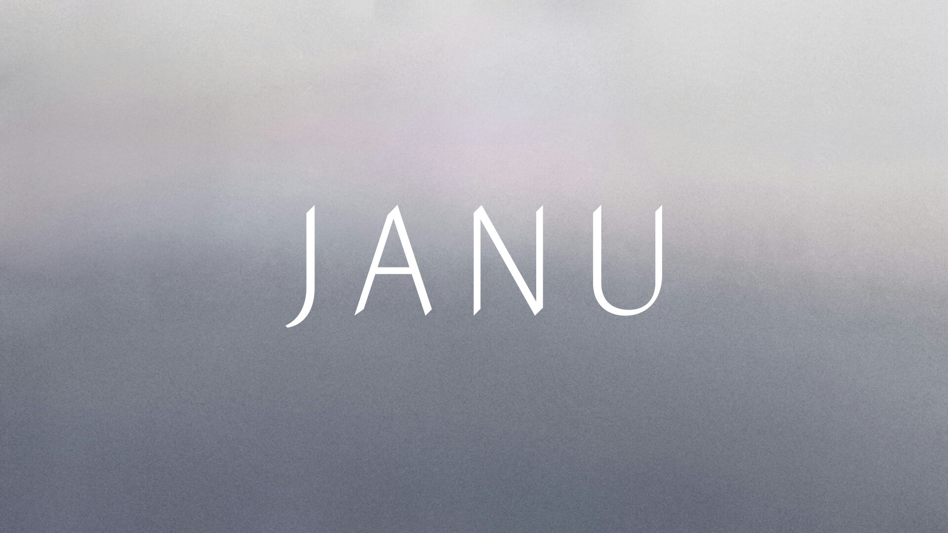 JANU Brand Identity Design